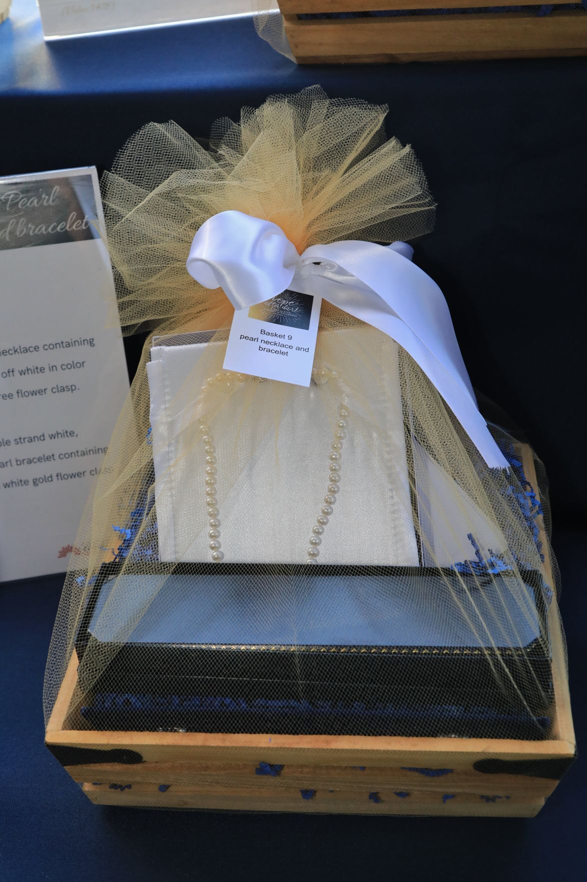 Cancer Support Community of Greater St. Louis’ Hope After Dark Gala